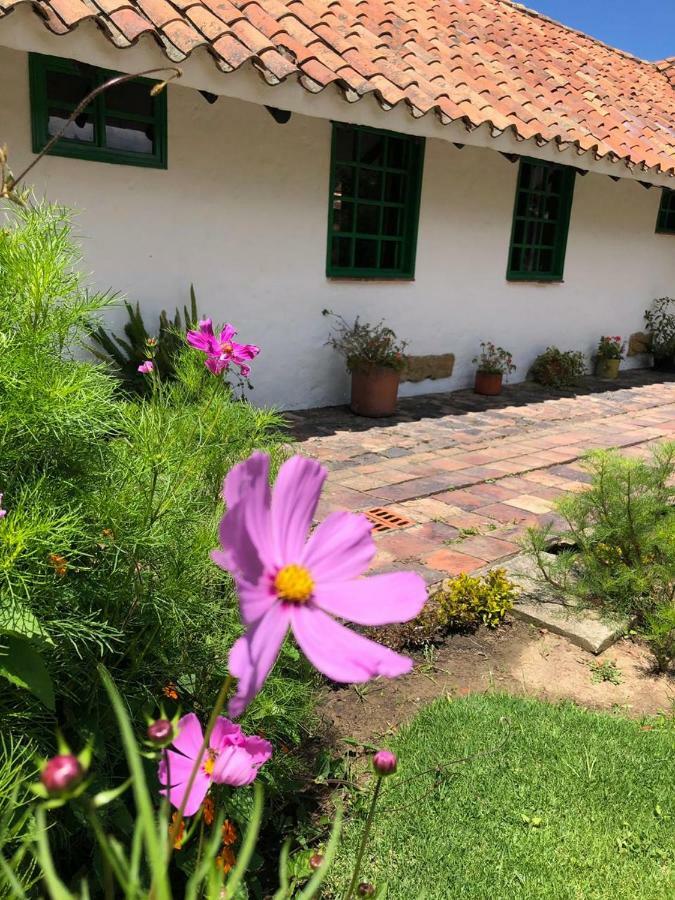 Hostal San Nicolas Ubate Exterior photo